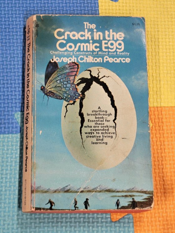 The Crack in the Cosmic Egg