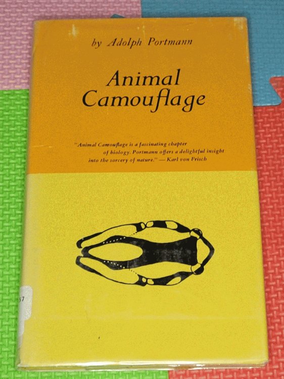 Animal Camouflage