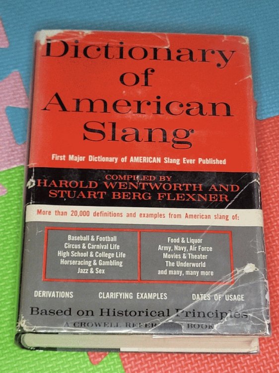Dictionary of American Slang