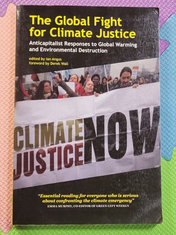 The Global Fight for Climate Justice - Anticapitalist Responses to Global Warming and Environmental Destruction