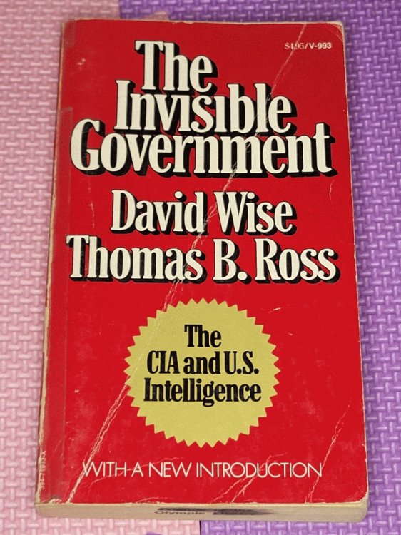The Invisible Government