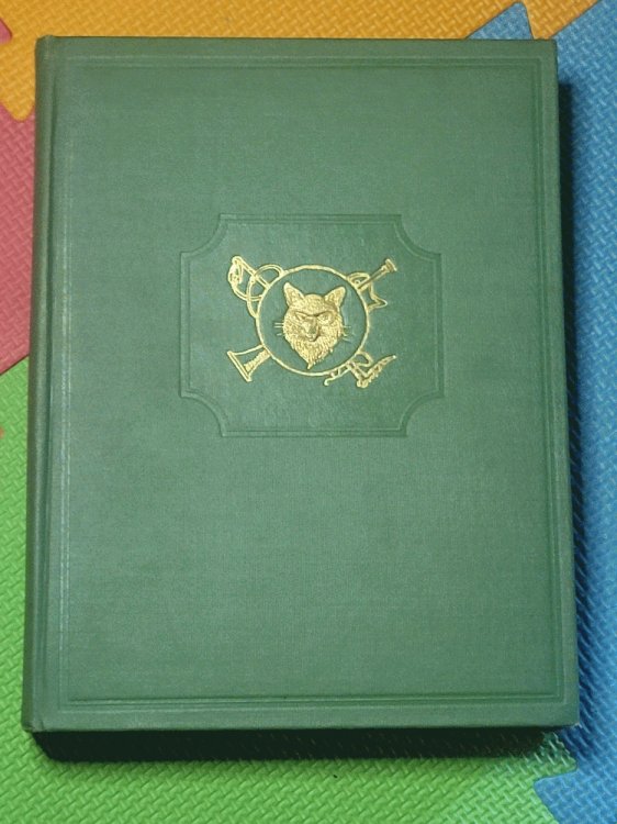 Reynard The Fox or The Ghost Heath Run