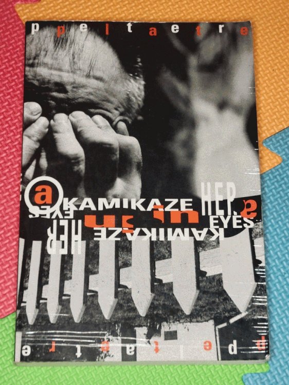 A Kamikaze in Her Eyes