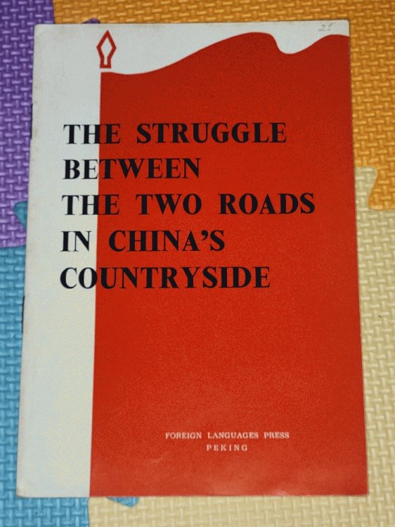 The Struggle Between the Two Roads in China's Countryside