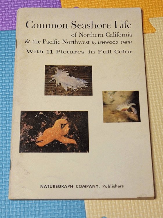 Common Seashore Life of Northern California & the Pacific Northwest (Naturegraph Ocean Guidebooks, Volume 2)