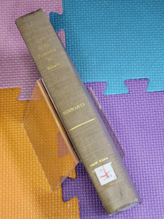 Law and the Executive in Britain: a Comparative Study