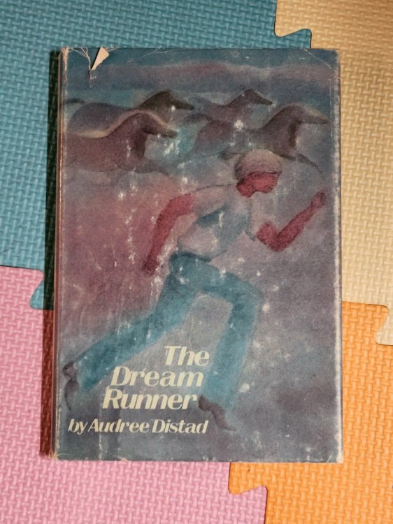 The Dream Runner