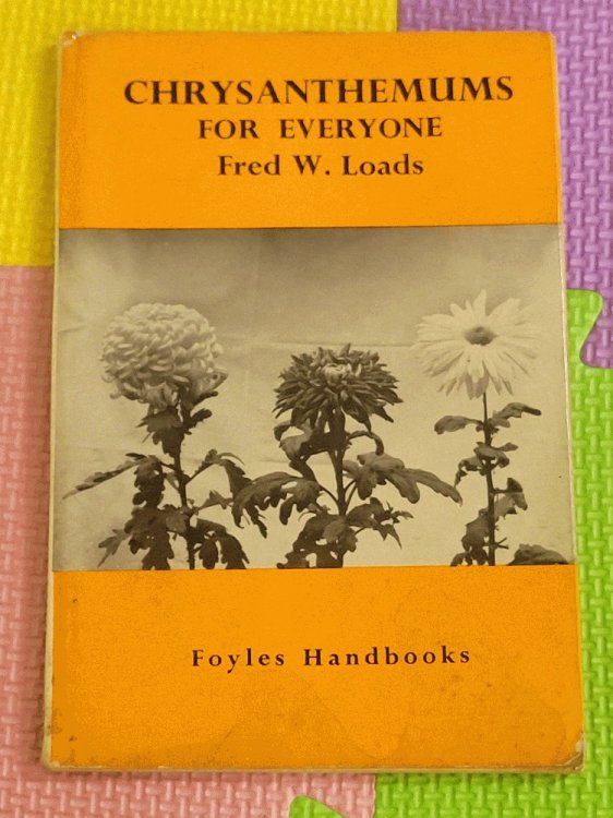 Chrysanthemums For Everyone (Foyles handbooks)