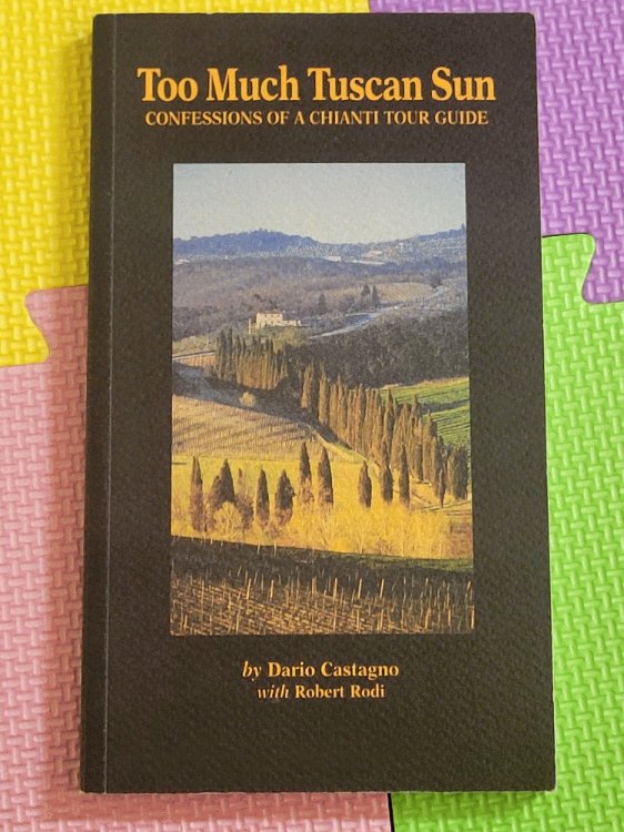 Too Much Tuscan Sun, Confessions of a Chanti Tour Guide