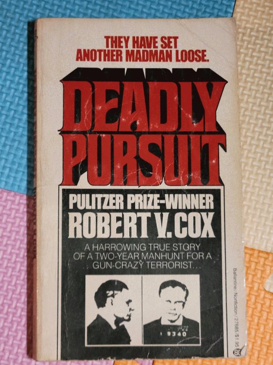 Deadly Pursuit
