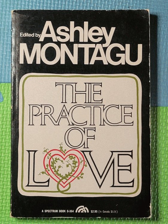 The Practice of Love