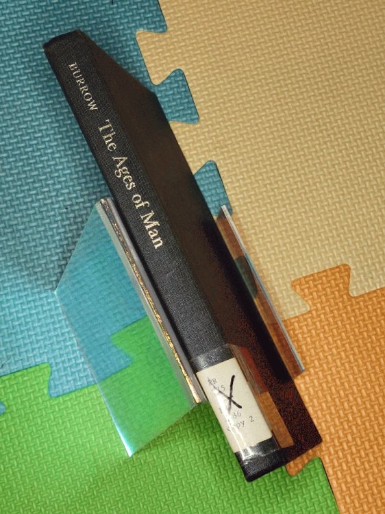 The Ages of Man: A Study in Medieval Writing and Thought