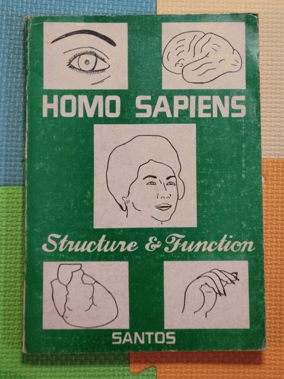 Homo Sapiens: Structure & Function