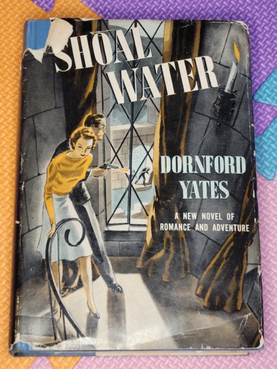 Shoal Water (A Minton Balch book)
