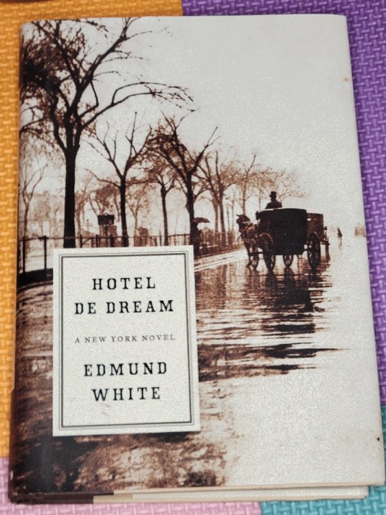 Hotel de Dream: A New York Novel