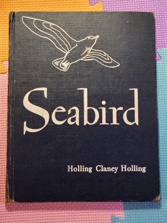 Seabird