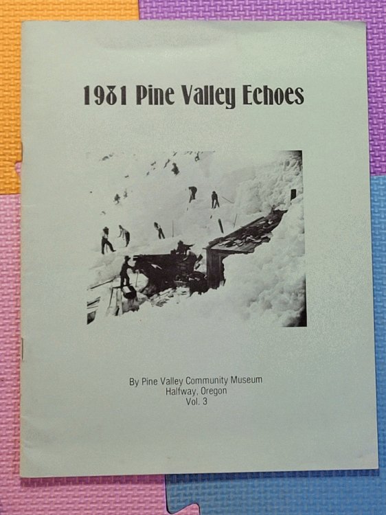 1981 Pine Valley Echoes, Volume 3