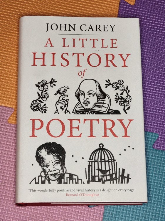 A Little History of Poetry (Little Histories)