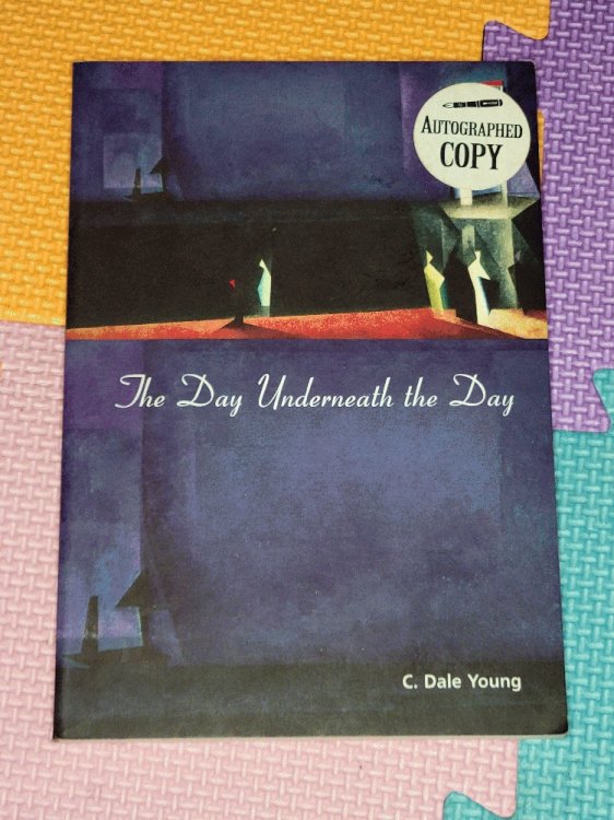 The Day Underneath the Day