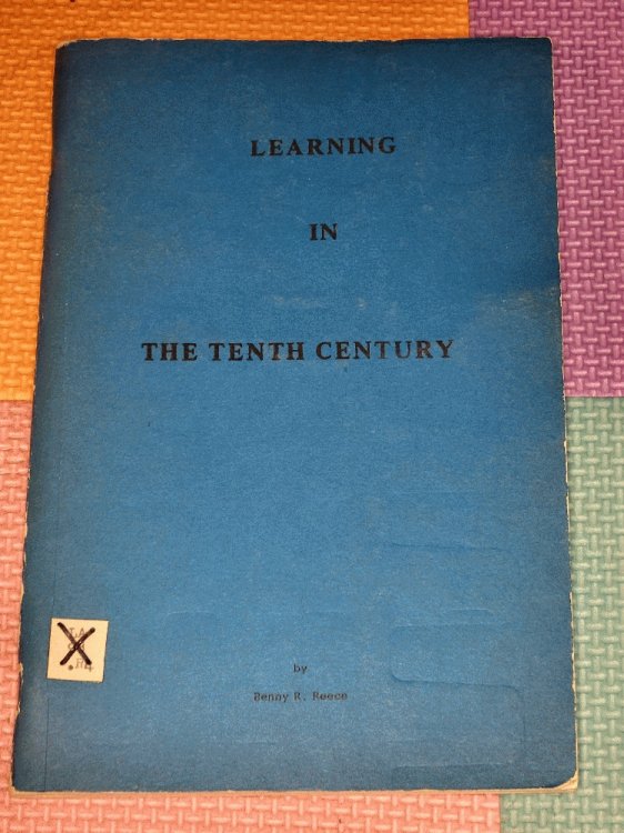 Learning In The Tenth Century