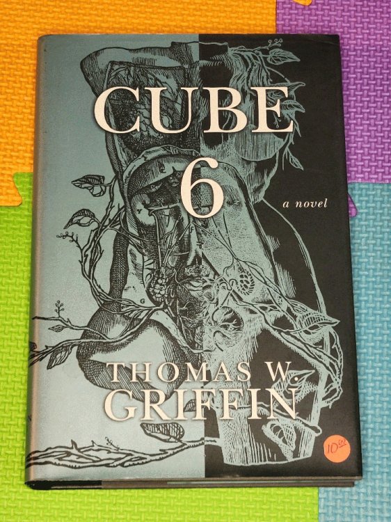 Cube 6