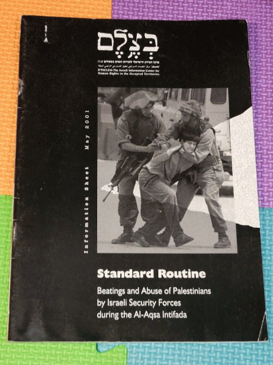 Standard Routine: Beatings and Abuse of Palestinians by Israeli Security Forces during the Al-Aqsa Intifada (Information Sheet)