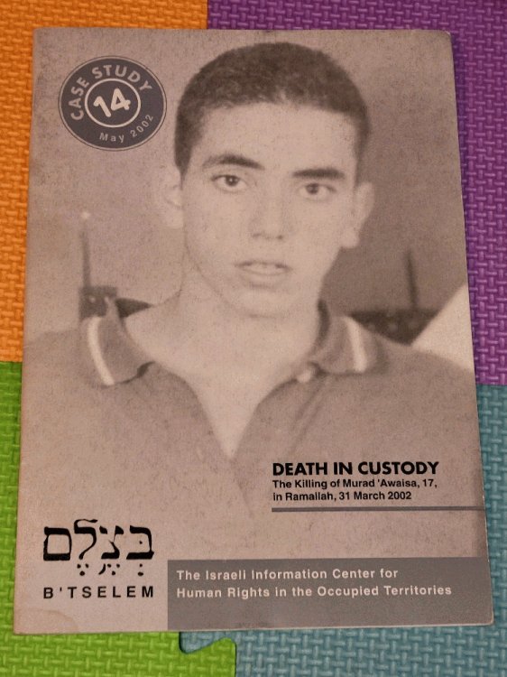 Death in Custody: The Killing of Murad'Awaisa, 17, in Ramallah, 31 March 2002 (Case Study 14)
