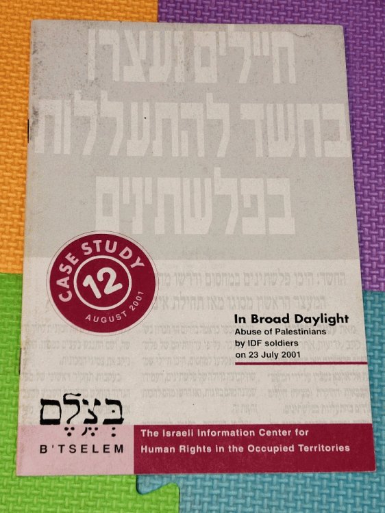In Broad Daylight: Abuse of Palestinians by IDF soldiers on 23 July 2001 (Case Study 12)