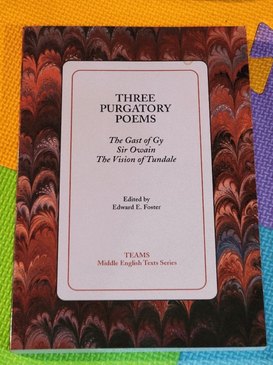 Three Purgatory Poems: The Gast of Gy, Sir Owain, The Vision of Tundale (Teams Middle English Texts)