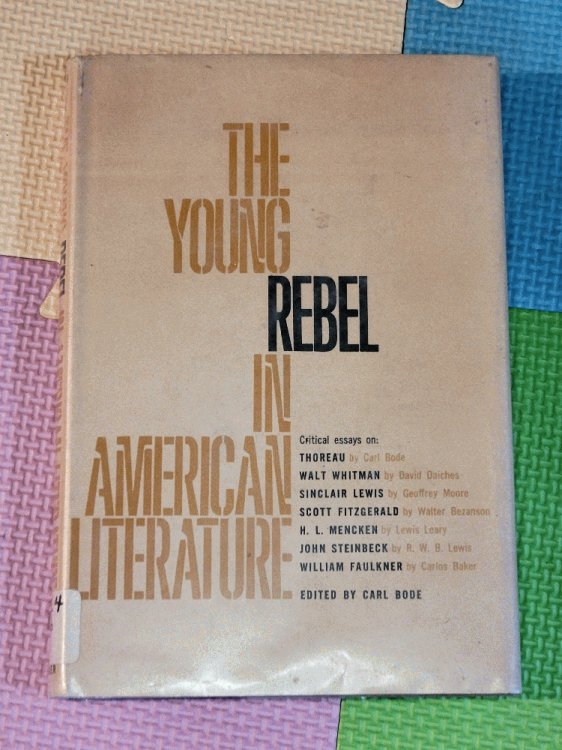 The Young Rebel in American Literature