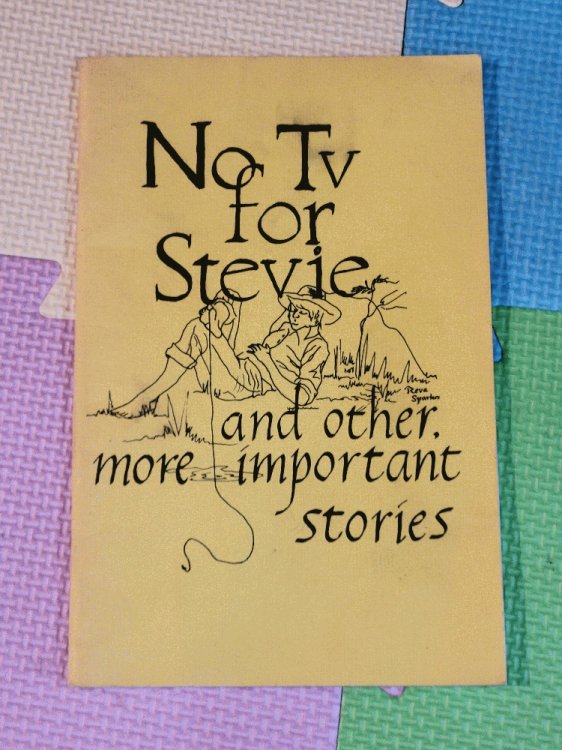 No Tv for Stevie and Other More Important Stories