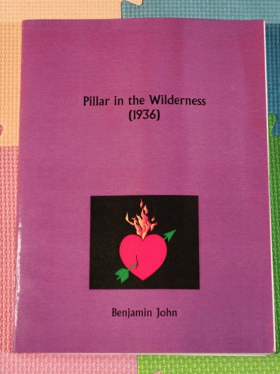 Pillar in the Wilderness