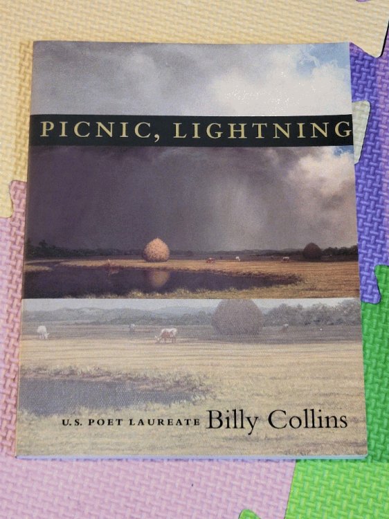 Picnic, Lightning (Pitt Poetry Series)