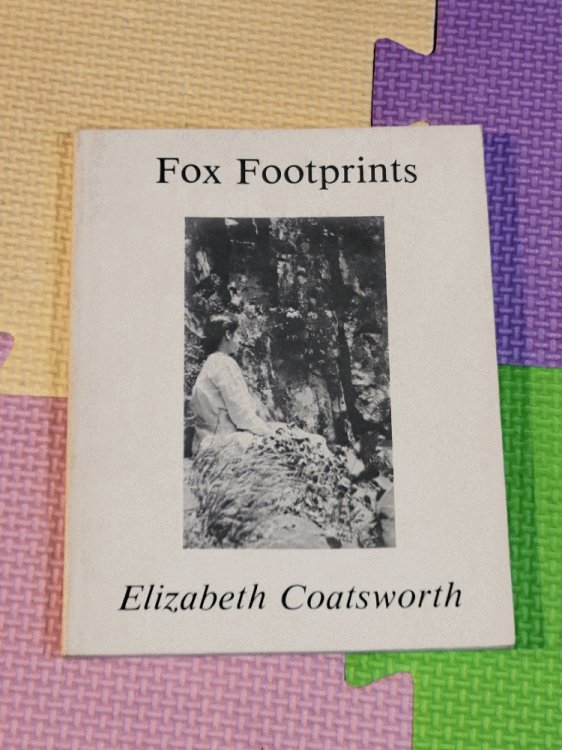 Fox Footprints