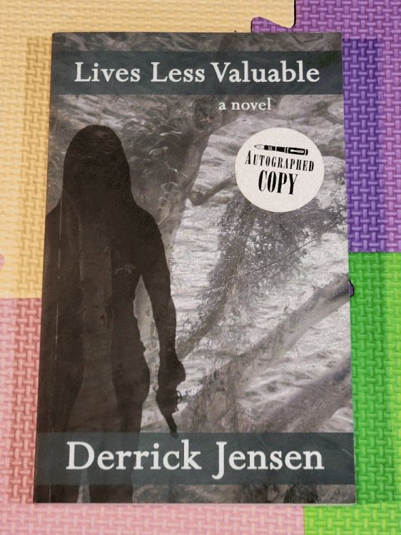 Lives Less Valuable: A Novel (Flashpoint Press)