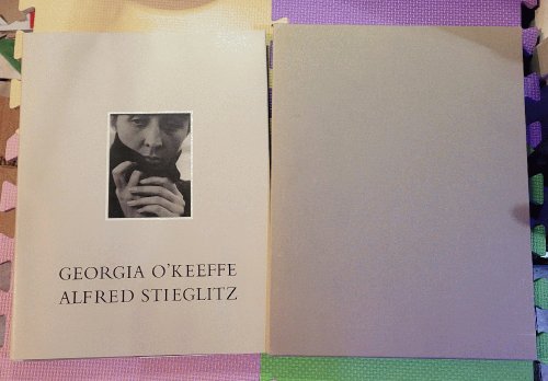 Georgia O'Keeffe: A Portrait