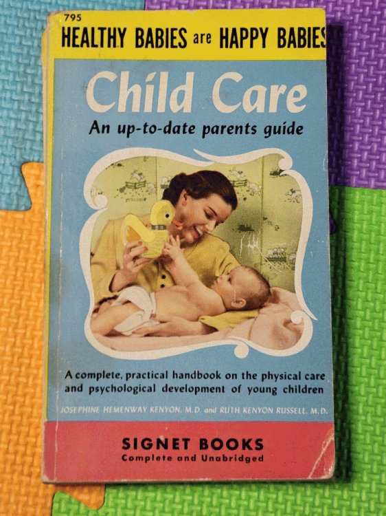 Child Care: An Up-to-Date Parents Guide: A Complete and Practical Handbook on the Physical Care and Psychological Development of Young Children