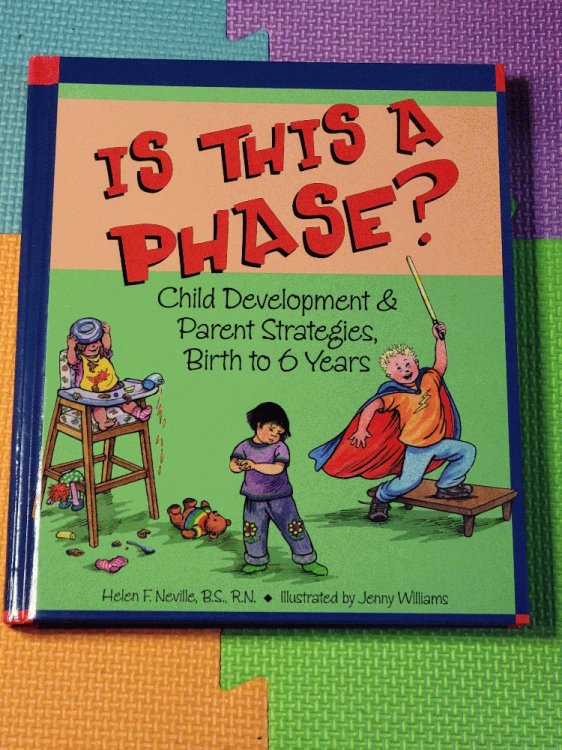 Is This a Phase: Child Development & Parent Strategies from Birth to 6 Years