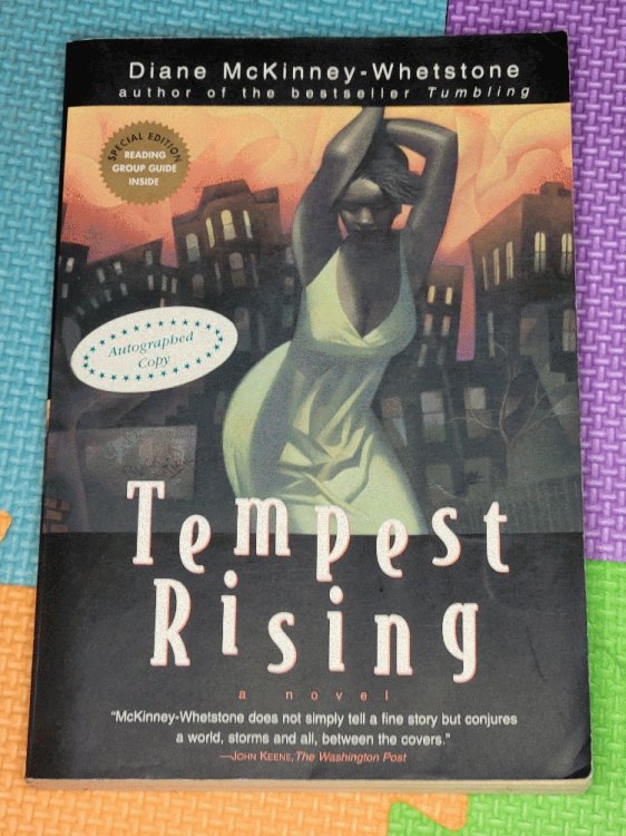 Tempest Rising: A Novel