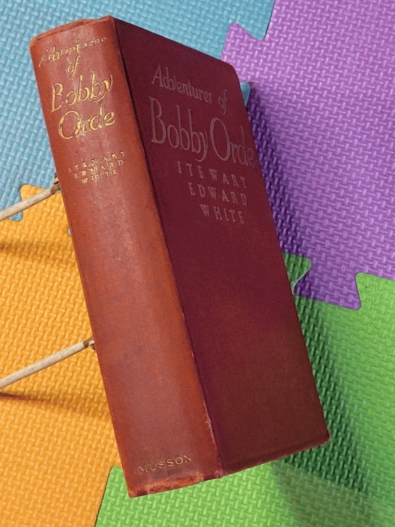 The Adventures Of Bobby Orde