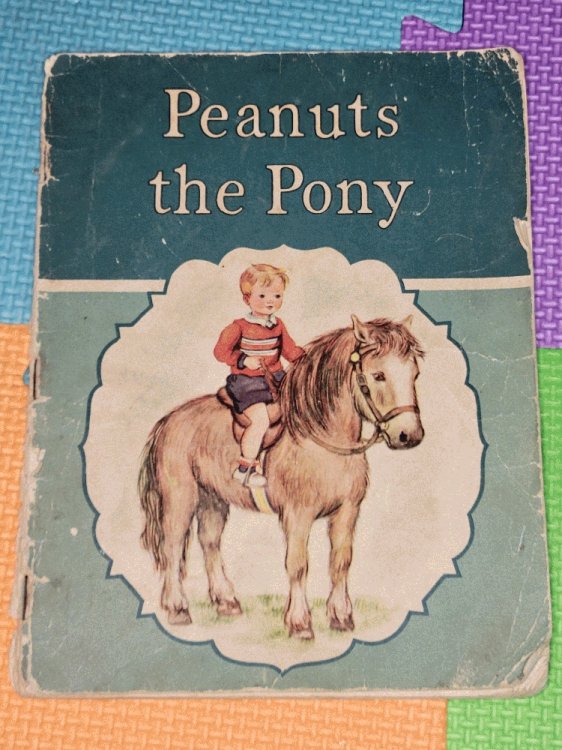 Peanuts The Pony