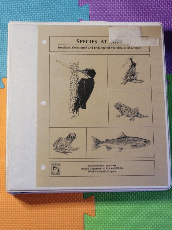 Species at risk: Sensitive, threatened, and endangered vertebrates of Oregon