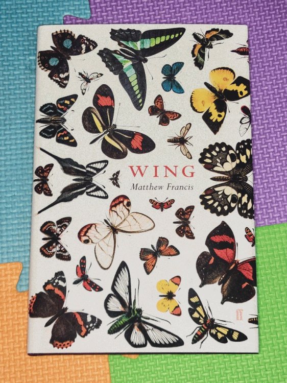Wing