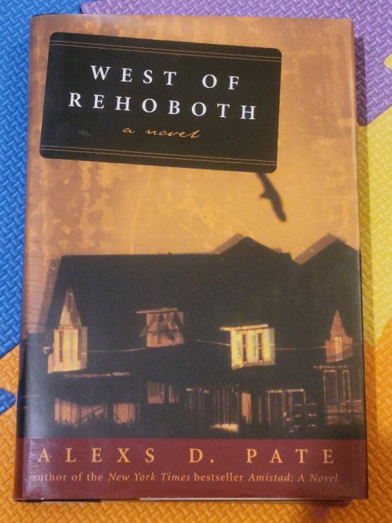 West of Rehoboth: A Novel
