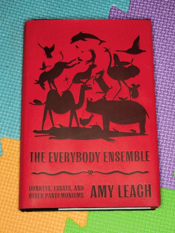 The Everybody Ensemble: Donkeys, Essays, and Other Pandemoniums