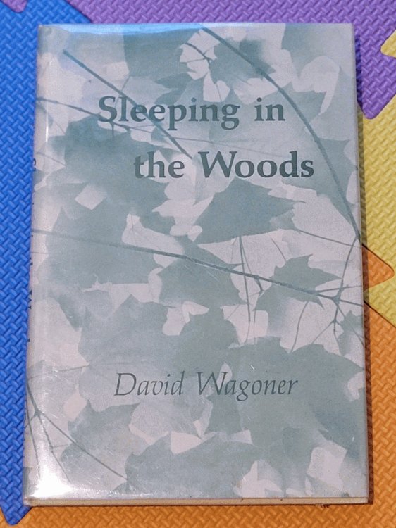 Sleeping in the woods