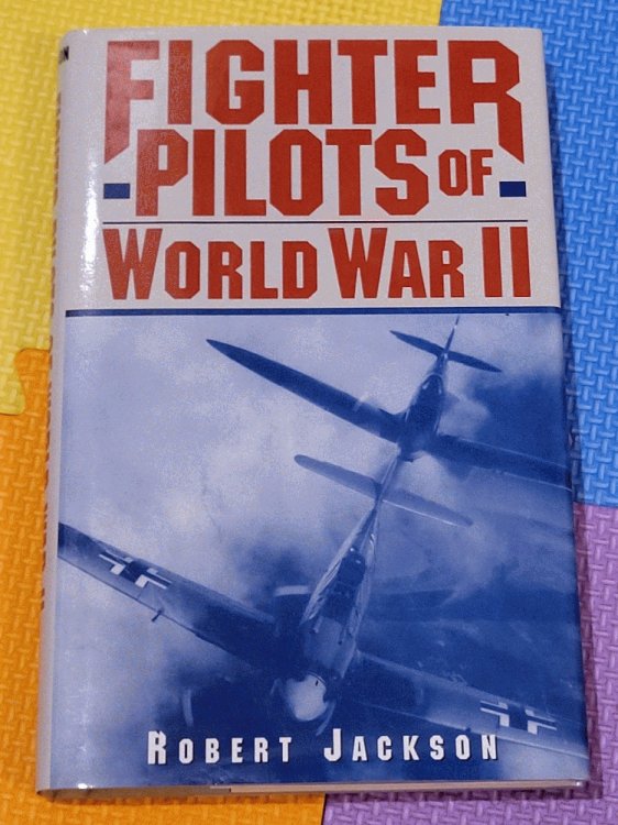 Fighter pilots of World War II