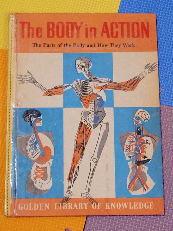 The Body in Action