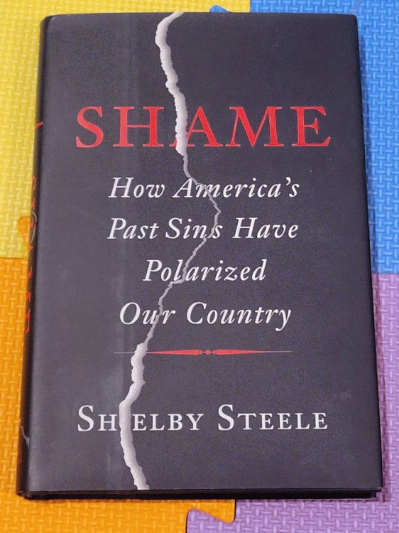 Shame: How America's Past Sins Have Polarized Our Country