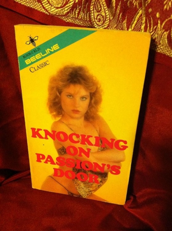 Knocking on Passion's Door by Lance, Alan